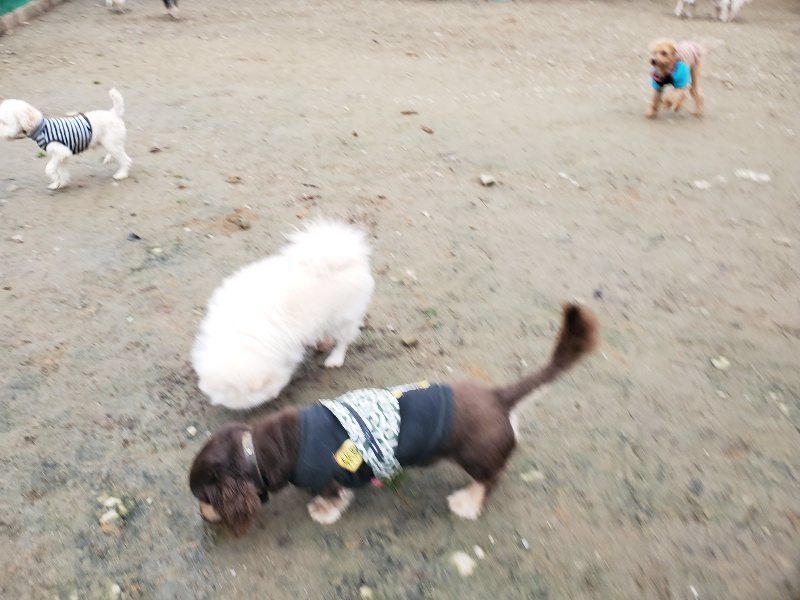 f:id:roukenhome-ann:20191223071915j:plain f:id:roukenhome-ann:20191223071915j:plain