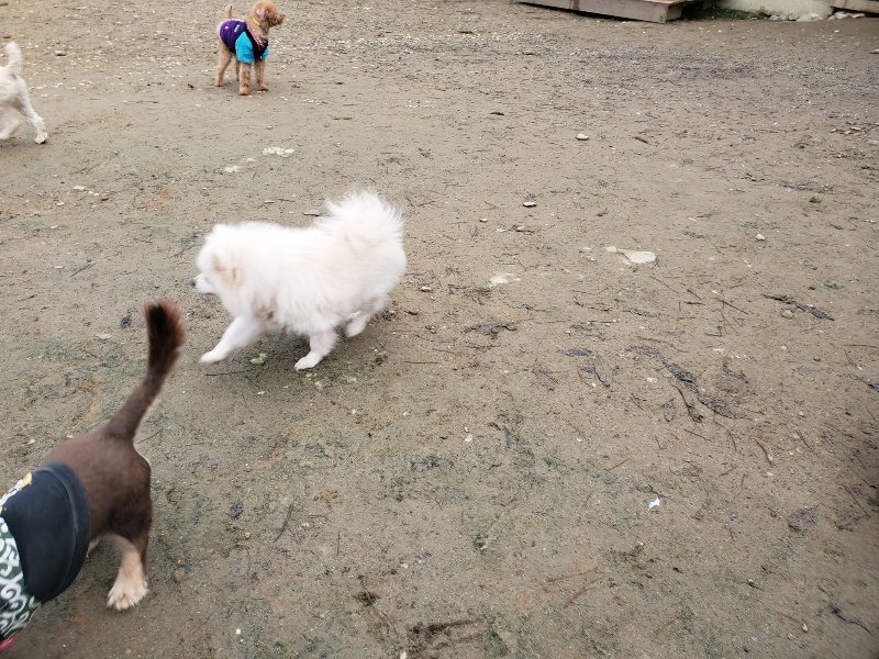 f:id:roukenhome-ann:20191223071923j:plain f:id:roukenhome-ann:20191223071923j:plain