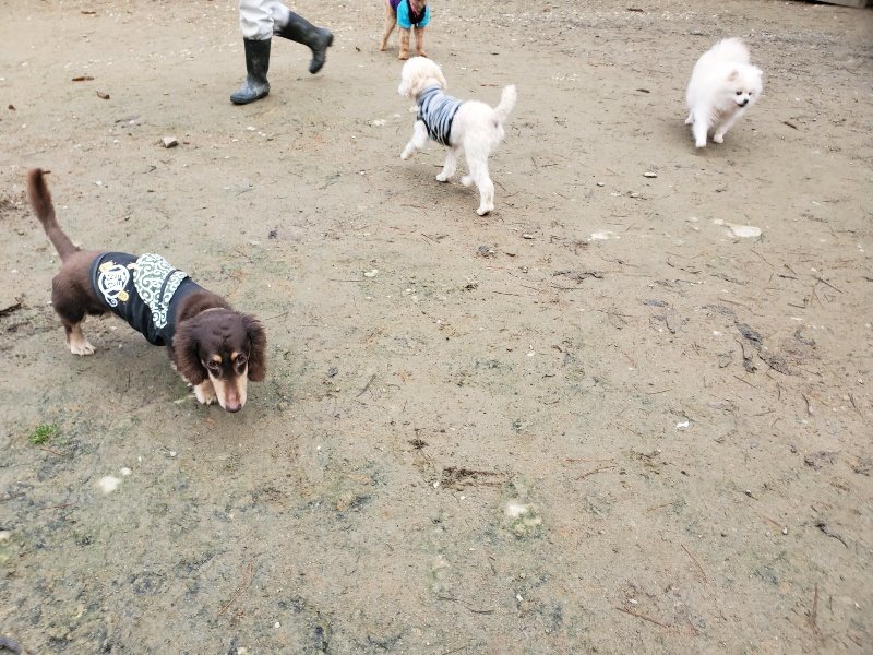 f:id:roukenhome-ann:20191223071940j:plain f:id:roukenhome-ann:20191223071940j:plain