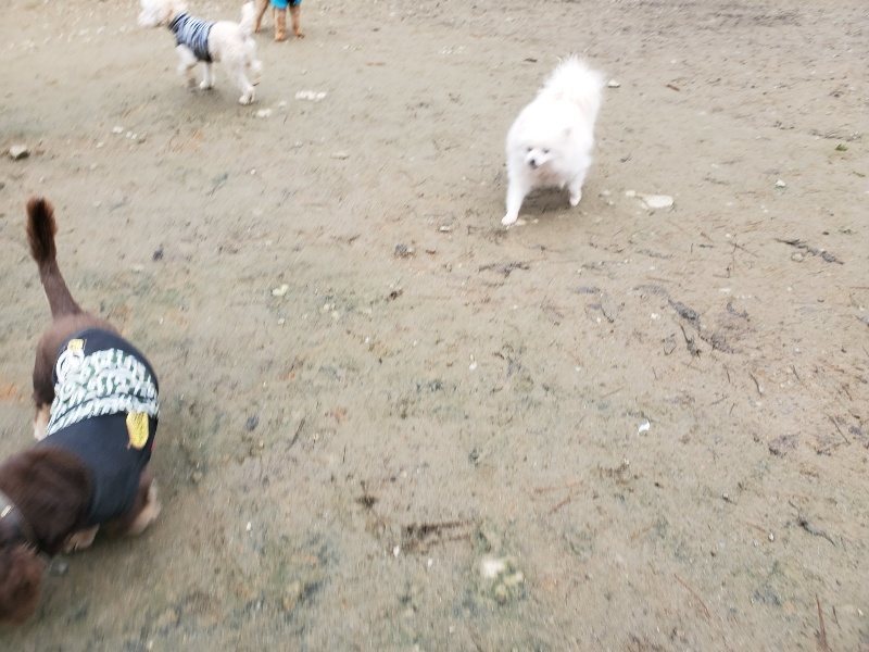 f:id:roukenhome-ann:20191223071946j:plain f:id:roukenhome-ann:20191223071946j:plain