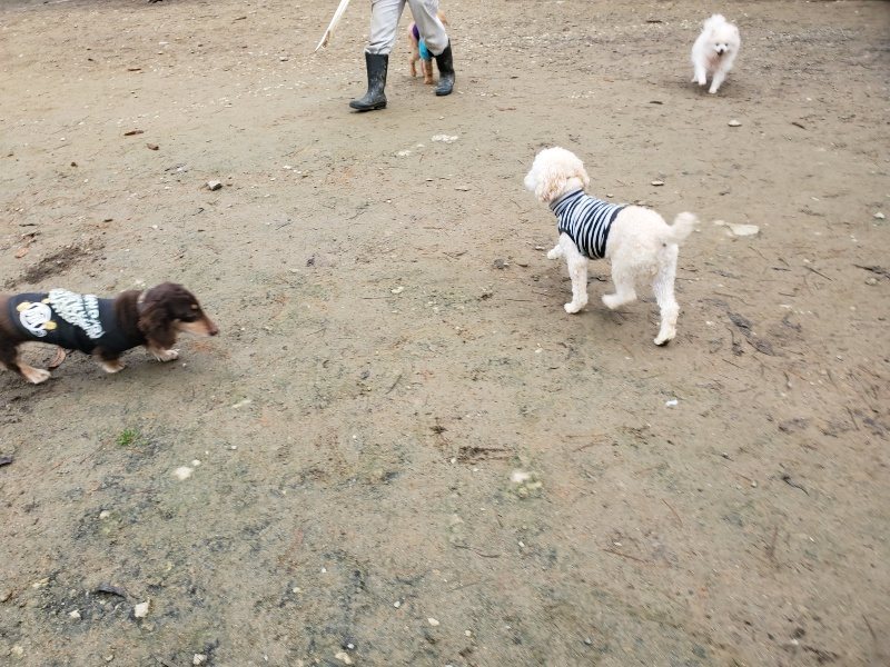f:id:roukenhome-ann:20191223071957j:plain f:id:roukenhome-ann:20191223071957j:plain