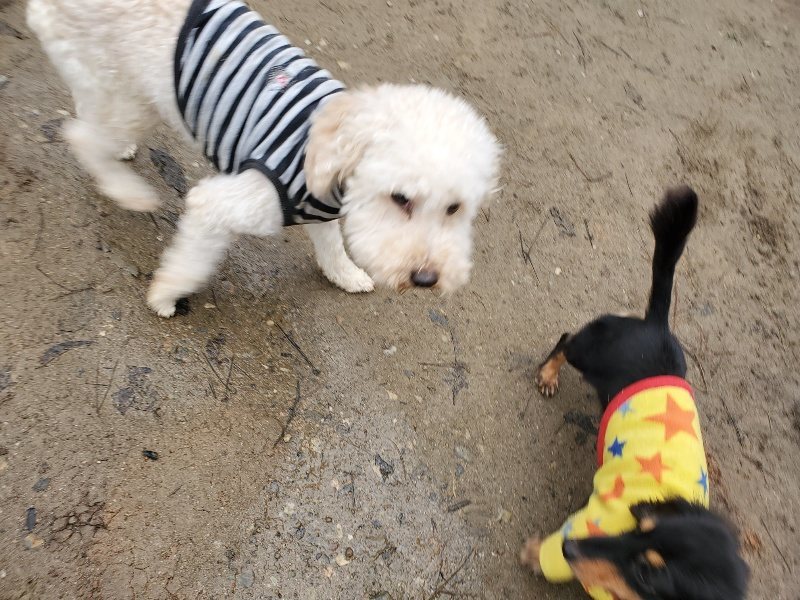 f:id:roukenhome-ann:20191223072037j:plain f:id:roukenhome-ann:20191223072037j:plain