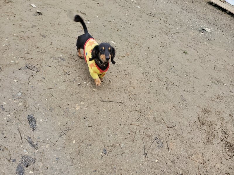 f:id:roukenhome-ann:20191223072056j:plain f:id:roukenhome-ann:20191223072056j:plain