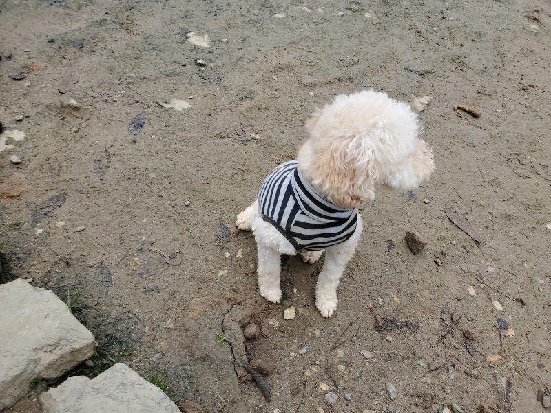f:id:roukenhome-ann:20191223072118j:plain f:id:roukenhome-ann:20191223072118j:plain