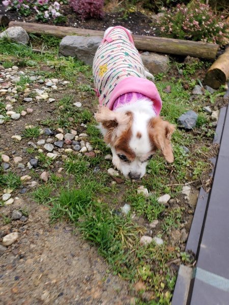 f:id:roukenhome-ann:20191223072126j:plain f:id:roukenhome-ann:20191223072126j:plain