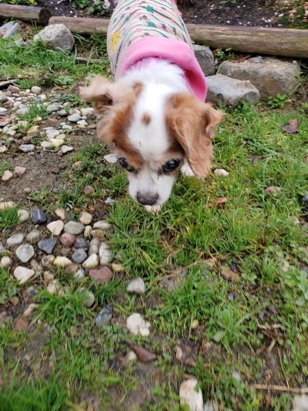 f:id:roukenhome-ann:20191223072133j:plain f:id:roukenhome-ann:20191223072133j:plain
