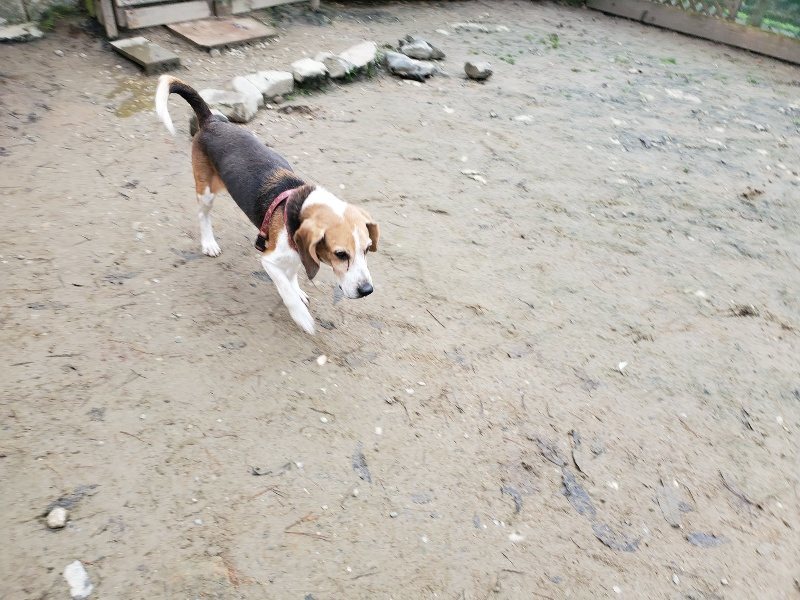 f:id:roukenhome-ann:20191223072237j:plain f:id:roukenhome-ann:20191223072237j:plain