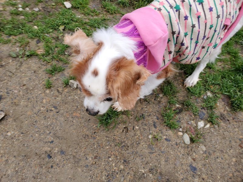 f:id:roukenhome-ann:20191223072310j:plain f:id:roukenhome-ann:20191223072310j:plain
