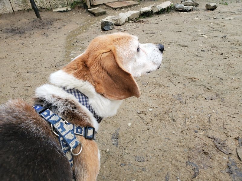 f:id:roukenhome-ann:20191223072407j:plain f:id:roukenhome-ann:20191223072407j:plain