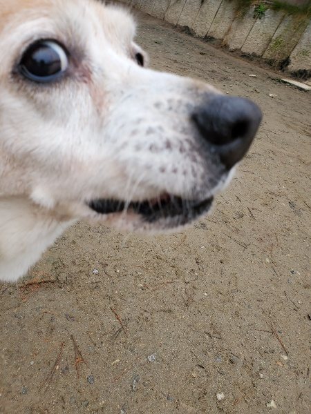 f:id:roukenhome-ann:20191223072415j:plain f:id:roukenhome-ann:20191223072415j:plain