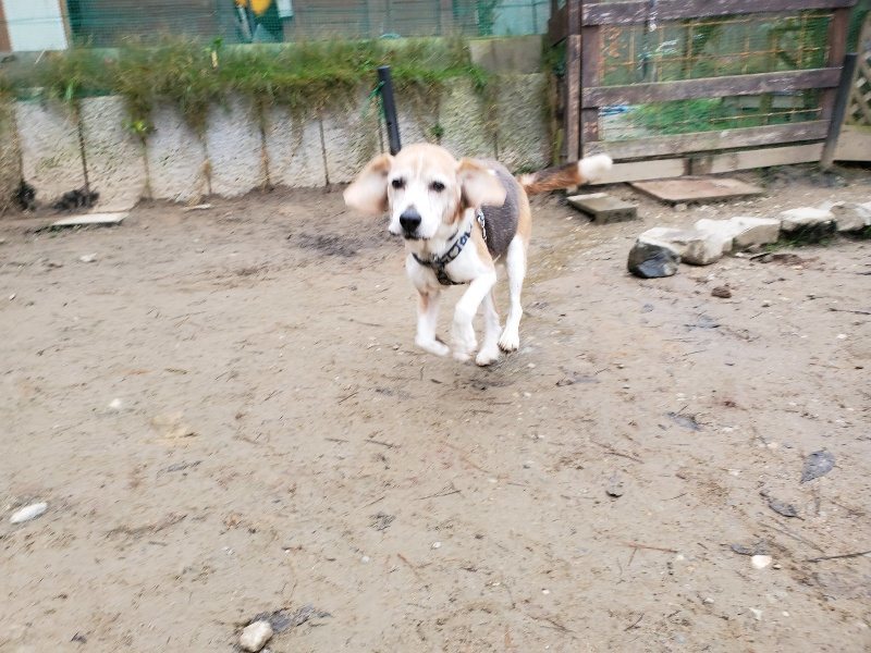 f:id:roukenhome-ann:20191223072433j:plain f:id:roukenhome-ann:20191223072433j:plain