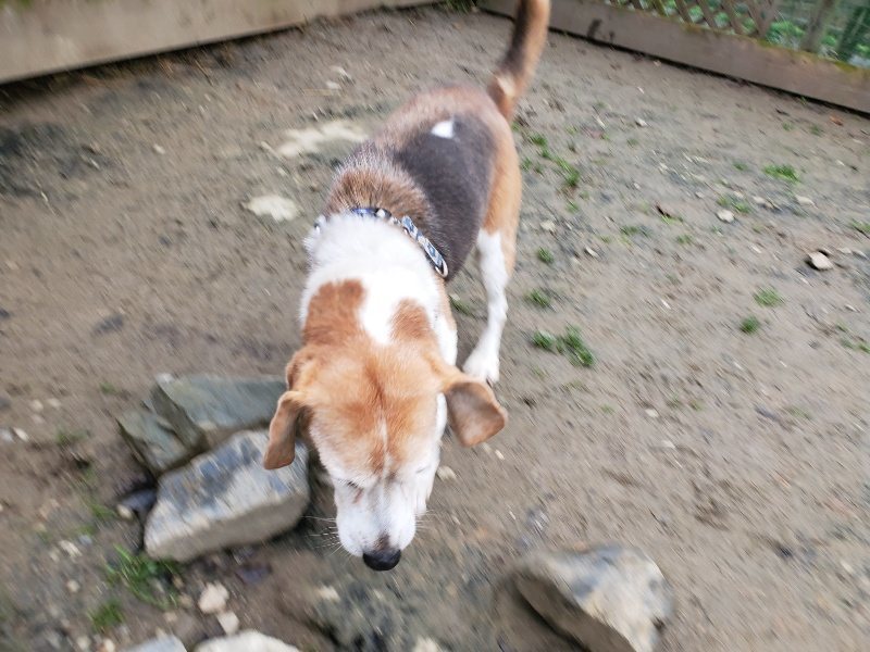 f:id:roukenhome-ann:20191223072439j:plain f:id:roukenhome-ann:20191223072439j:plain