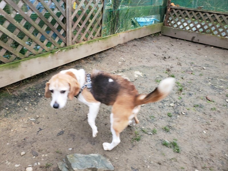 f:id:roukenhome-ann:20191223072450j:plain f:id:roukenhome-ann:20191223072450j:plain
