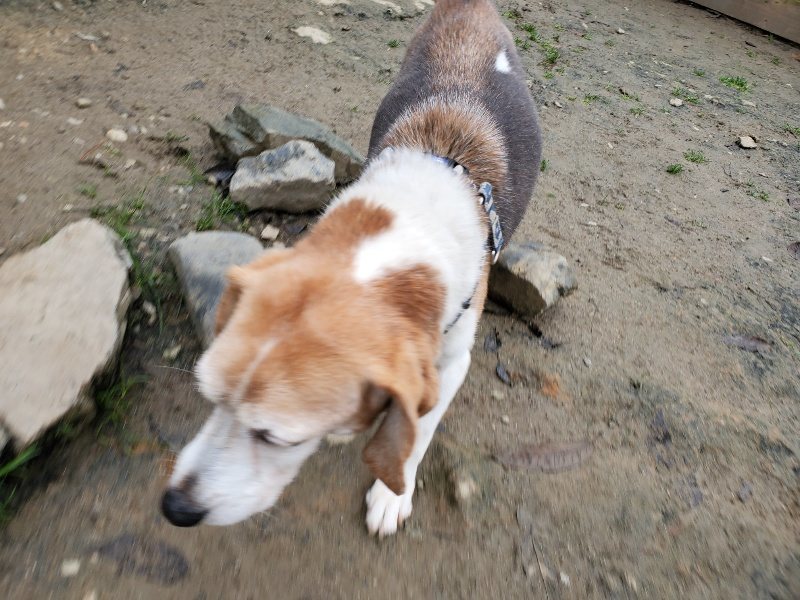 f:id:roukenhome-ann:20191223072459j:plain f:id:roukenhome-ann:20191223072459j:plain