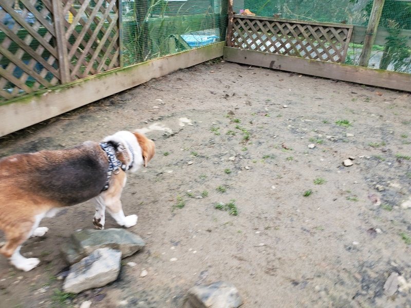 f:id:roukenhome-ann:20191223072505j:plain f:id:roukenhome-ann:20191223072505j:plain
