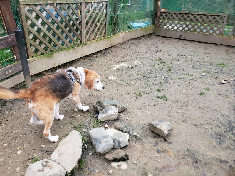 f:id:roukenhome-ann:20191223072514j:plain f:id:roukenhome-ann:20191223072514j:plain