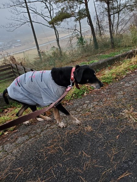 f:id:roukenhome-ann:20191223072531j:plain f:id:roukenhome-ann:20191223072531j:plain