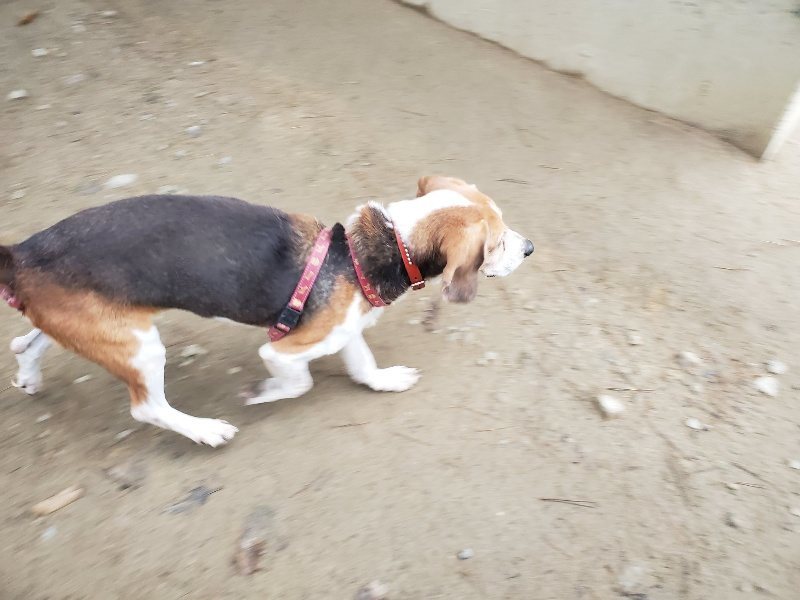 f:id:roukenhome-ann:20191223072647j:plain f:id:roukenhome-ann:20191223072647j:plain