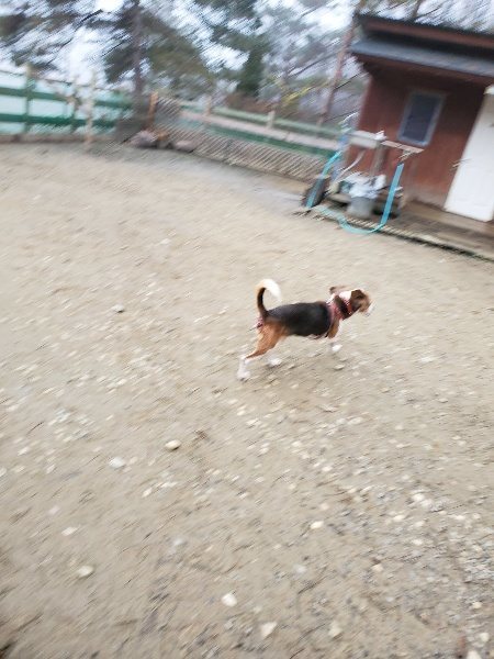 f:id:roukenhome-ann:20191223072653j:plain f:id:roukenhome-ann:20191223072653j:plain
