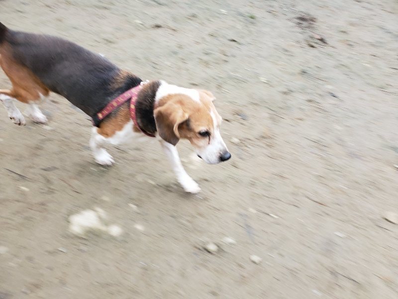 f:id:roukenhome-ann:20191223072703j:plain f:id:roukenhome-ann:20191223072703j:plain
