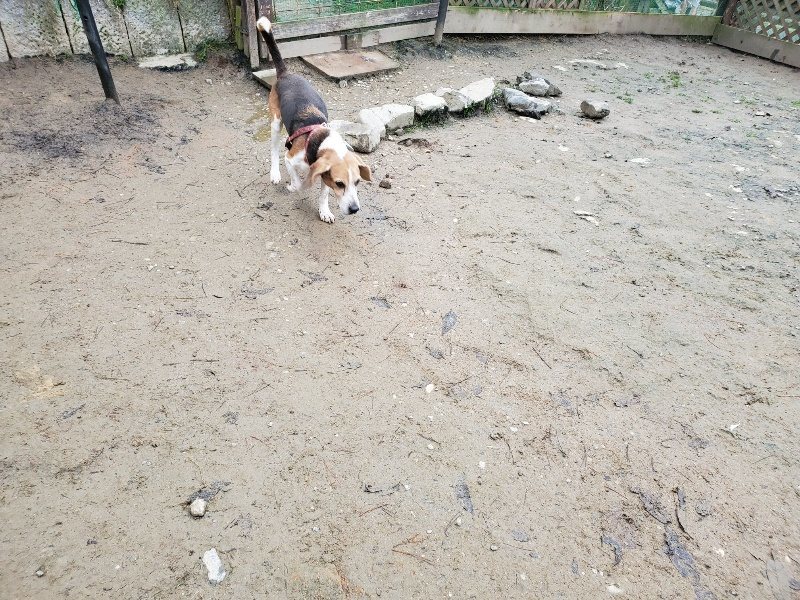 f:id:roukenhome-ann:20191223072713j:plain f:id:roukenhome-ann:20191223072713j:plain