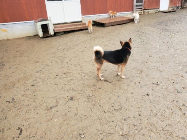 f:id:roukenhome-ann:20191223150019j:plain f:id:roukenhome-ann:20191223150019j:plain