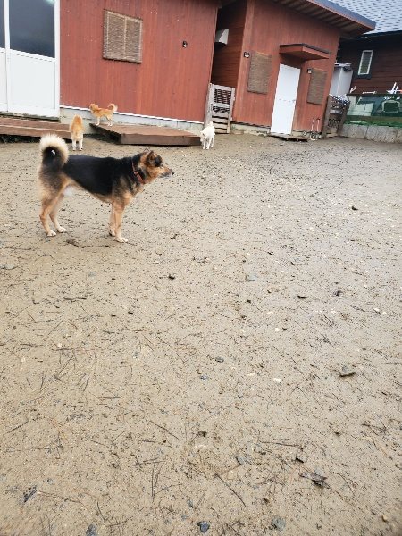 f:id:roukenhome-ann:20191223150044j:plain f:id:roukenhome-ann:20191223150044j:plain