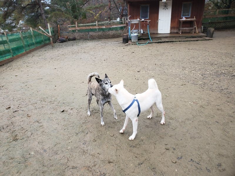 f:id:roukenhome-ann:20191223150100j:plain f:id:roukenhome-ann:20191223150100j:plain