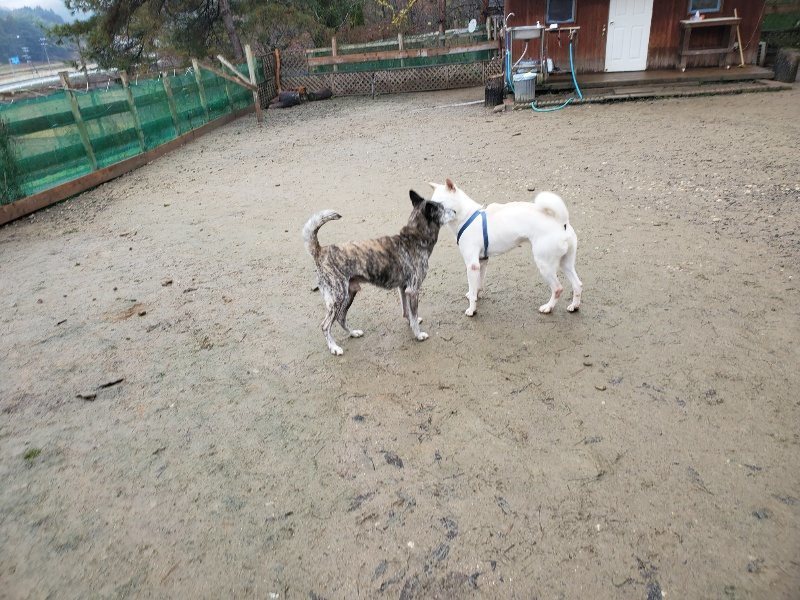 f:id:roukenhome-ann:20191223150120j:plain f:id:roukenhome-ann:20191223150120j:plain