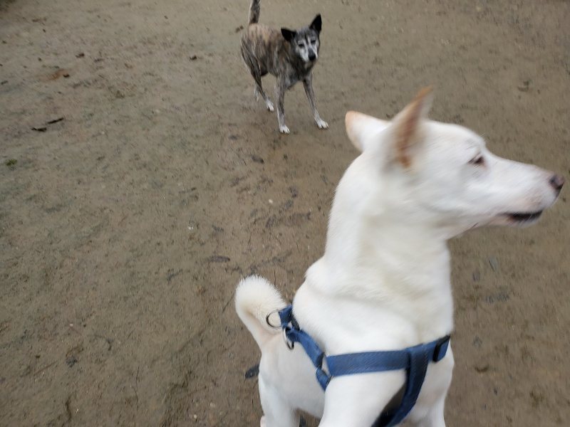 f:id:roukenhome-ann:20191223150127j:plain f:id:roukenhome-ann:20191223150127j:plain