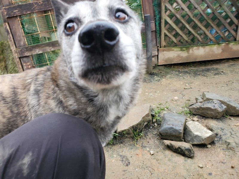 f:id:roukenhome-ann:20191223150205j:plain f:id:roukenhome-ann:20191223150205j:plain