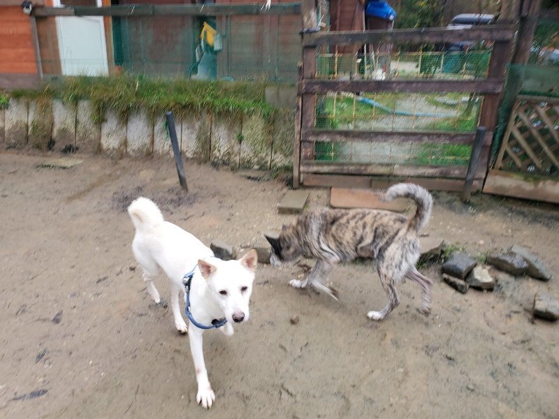 f:id:roukenhome-ann:20191223150220j:plain f:id:roukenhome-ann:20191223150220j:plain