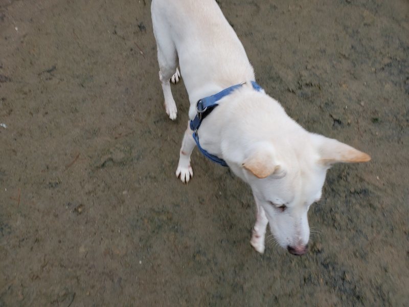 f:id:roukenhome-ann:20191223150228j:plain f:id:roukenhome-ann:20191223150228j:plain