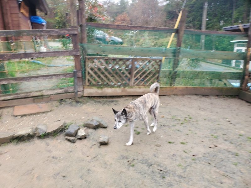 f:id:roukenhome-ann:20191223150239j:plain f:id:roukenhome-ann:20191223150239j:plain