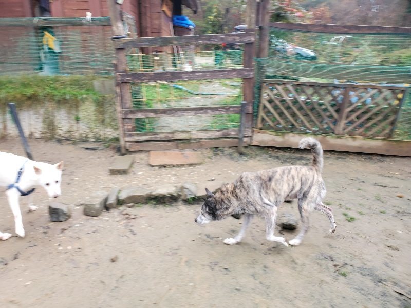 f:id:roukenhome-ann:20191223150244j:plain f:id:roukenhome-ann:20191223150244j:plain