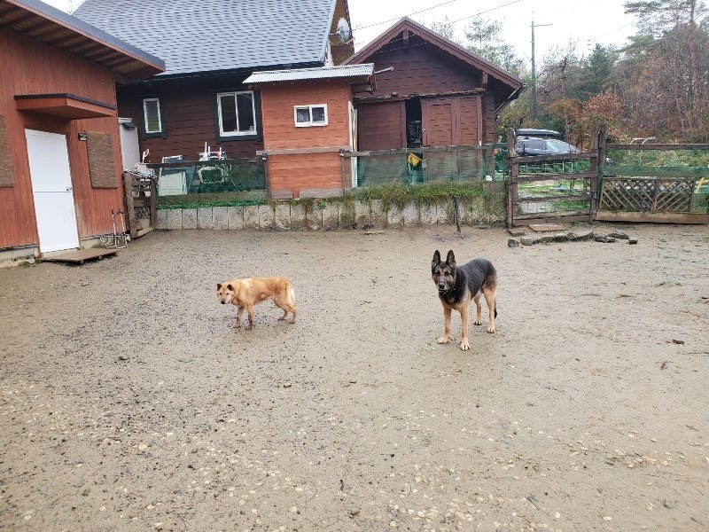 f:id:roukenhome-ann:20191223150329j:plain f:id:roukenhome-ann:20191223150329j:plain