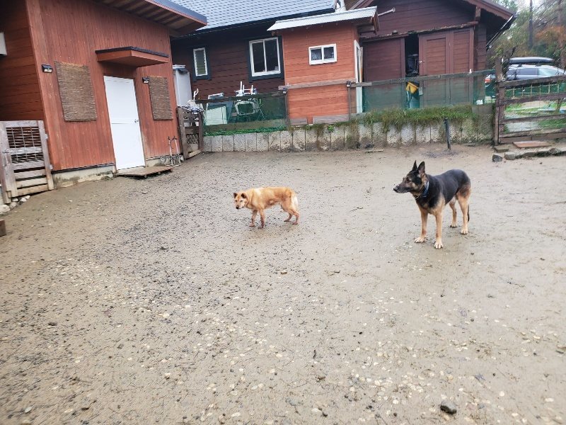 f:id:roukenhome-ann:20191223150350j:plain f:id:roukenhome-ann:20191223150350j:plain