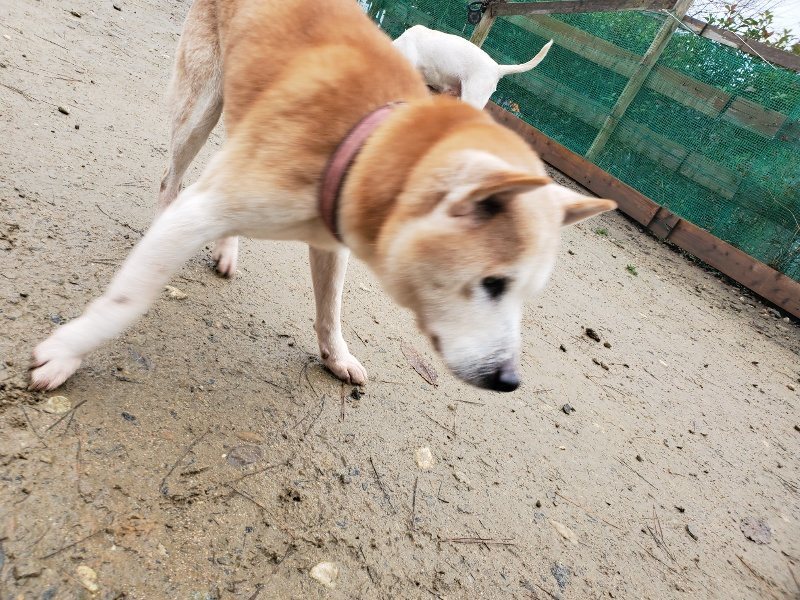 f:id:roukenhome-ann:20191223150356j:plain f:id:roukenhome-ann:20191223150356j:plain