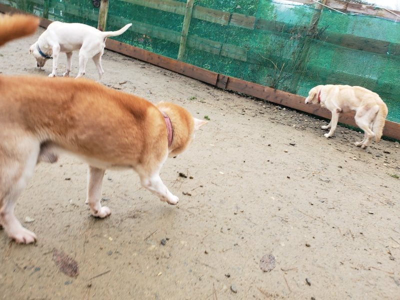 f:id:roukenhome-ann:20191223150402j:plain f:id:roukenhome-ann:20191223150402j:plain