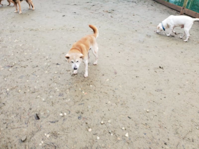 f:id:roukenhome-ann:20191223150409j:plain f:id:roukenhome-ann:20191223150409j:plain