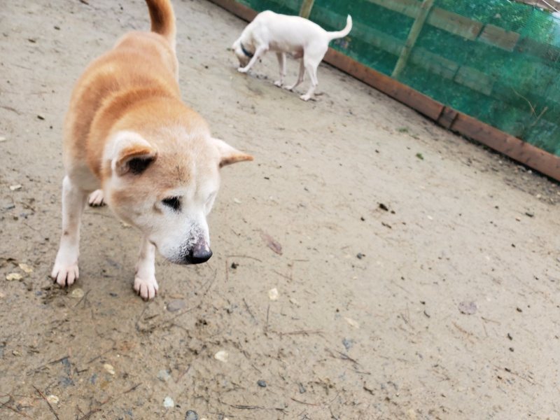 f:id:roukenhome-ann:20191223150414j:plain f:id:roukenhome-ann:20191223150414j:plain