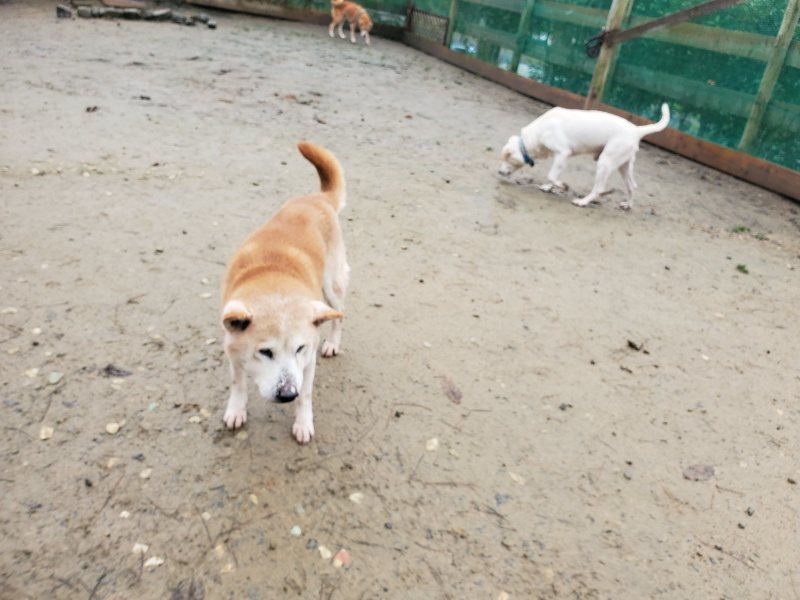 f:id:roukenhome-ann:20191223150421j:plain f:id:roukenhome-ann:20191223150421j:plain