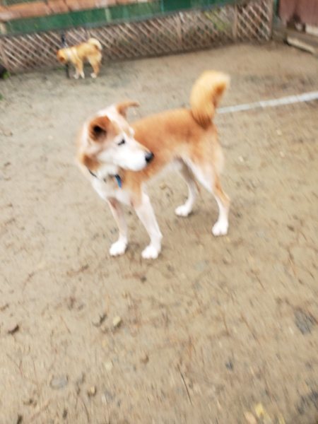 f:id:roukenhome-ann:20191223150425j:plain f:id:roukenhome-ann:20191223150425j:plain