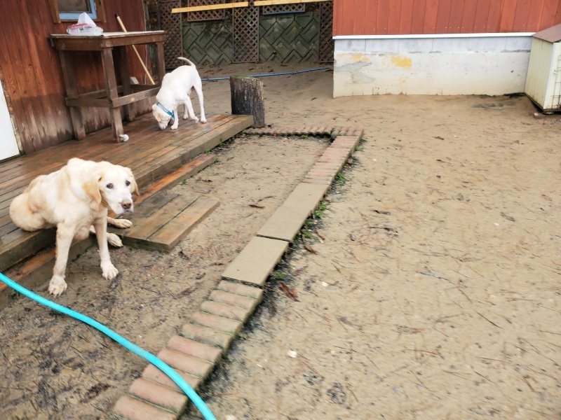f:id:roukenhome-ann:20191223154334j:plain f:id:roukenhome-ann:20191223154334j:plain