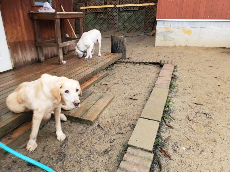 f:id:roukenhome-ann:20191223154342j:plain f:id:roukenhome-ann:20191223154342j:plain