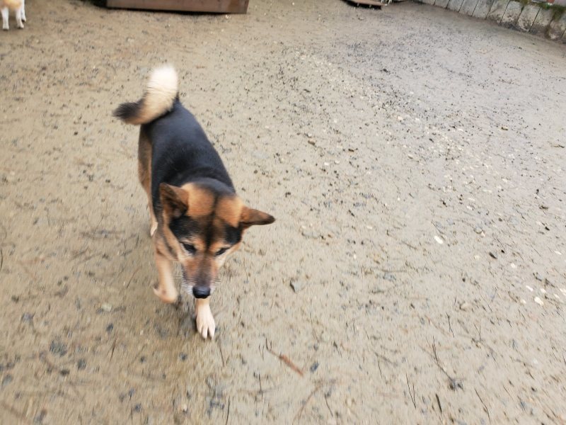 f:id:roukenhome-ann:20191223154352j:plain f:id:roukenhome-ann:20191223154352j:plain