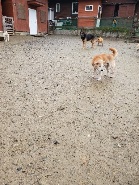 f:id:roukenhome-ann:20191223154409j:plain f:id:roukenhome-ann:20191223154409j:plain