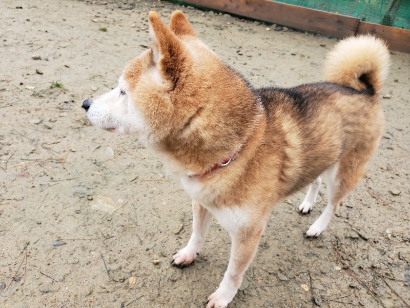 f:id:roukenhome-ann:20191223154414j:plain f:id:roukenhome-ann:20191223154414j:plain