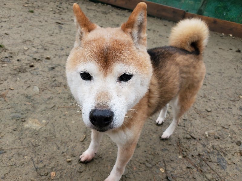 f:id:roukenhome-ann:20191223154419j:plain f:id:roukenhome-ann:20191223154419j:plain