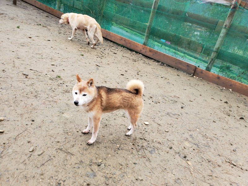 f:id:roukenhome-ann:20191223154445j:plain f:id:roukenhome-ann:20191223154445j:plain